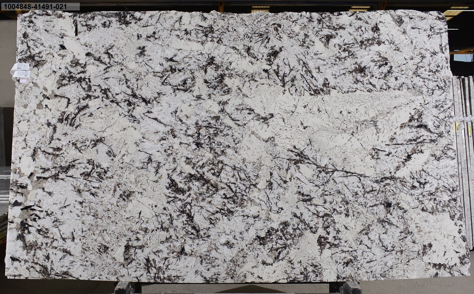 White Orion 3cm Granite